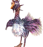 Kokoru